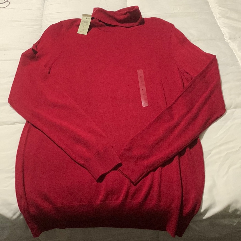 NWT-Ann Taylor turtle neck sweater